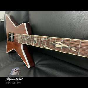 CUSTOM GUITARS | Aquenture