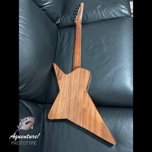 CUSTOM GUITARS | Aquenture