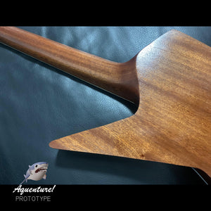 CUSTOM GUITARS | Aquenture