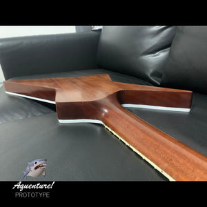 CUSTOM GUITARS | Aquenture