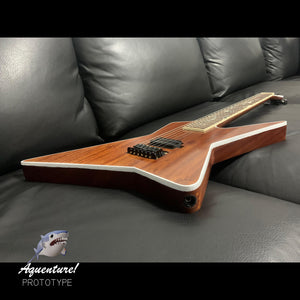 CUSTOM GUITARS | Aquenture