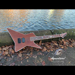 CUSTOM GUITARS | Aquenture